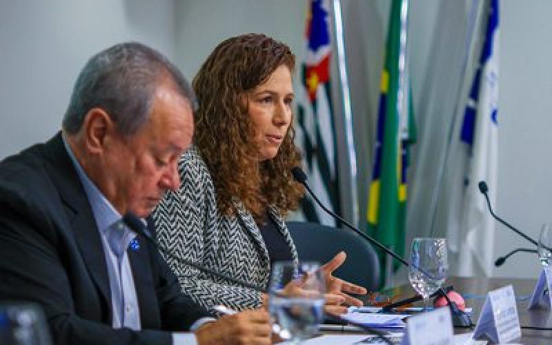 Em encontro com ministra, empresários da indústria pedem mais servidores públicos
