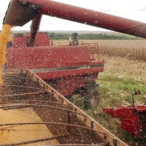 Conab: safra de grãos 2025/26 deve atingir volume recorde de 356,3 milhões de toneladas