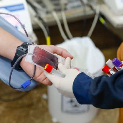 STF forma maioria e determina direito de recusa de transfusão de sangue por religião