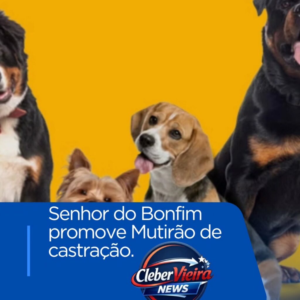 Instagram post from clebervieiranews. This post is in position 5.