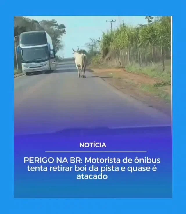 Instagram post from clebervieiranews. This post is in position 3.