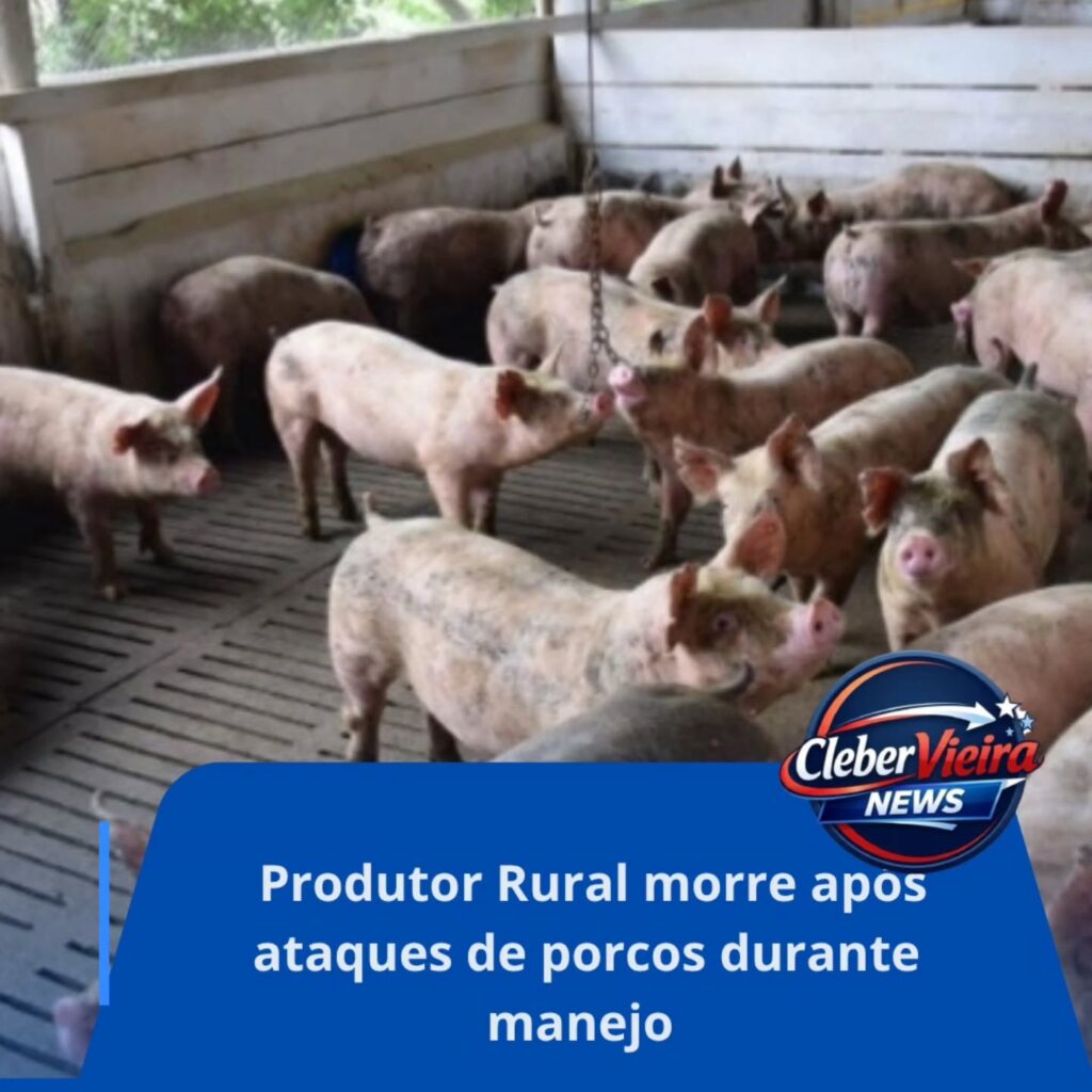 Instagram post from clebervieiranews. This post is in position 3.