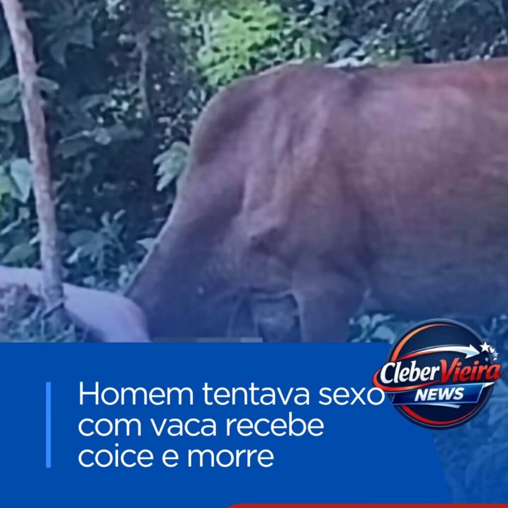 Instagram post from clebervieiranews. This post is in position 4.