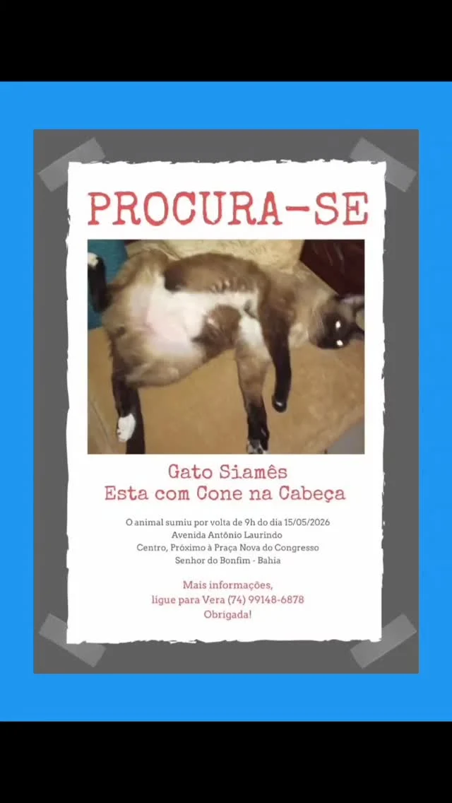 Instagram post from clebervieiranews. This post is in position 3.