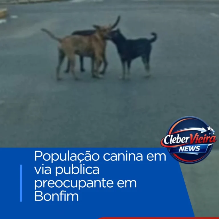 Instagram post from clebervieiranews. This post is in position 2.