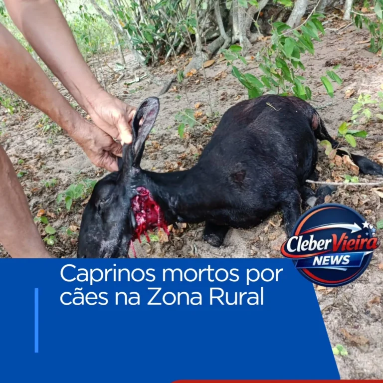 Instagram post from clebervieiranews. This post is in position 2.